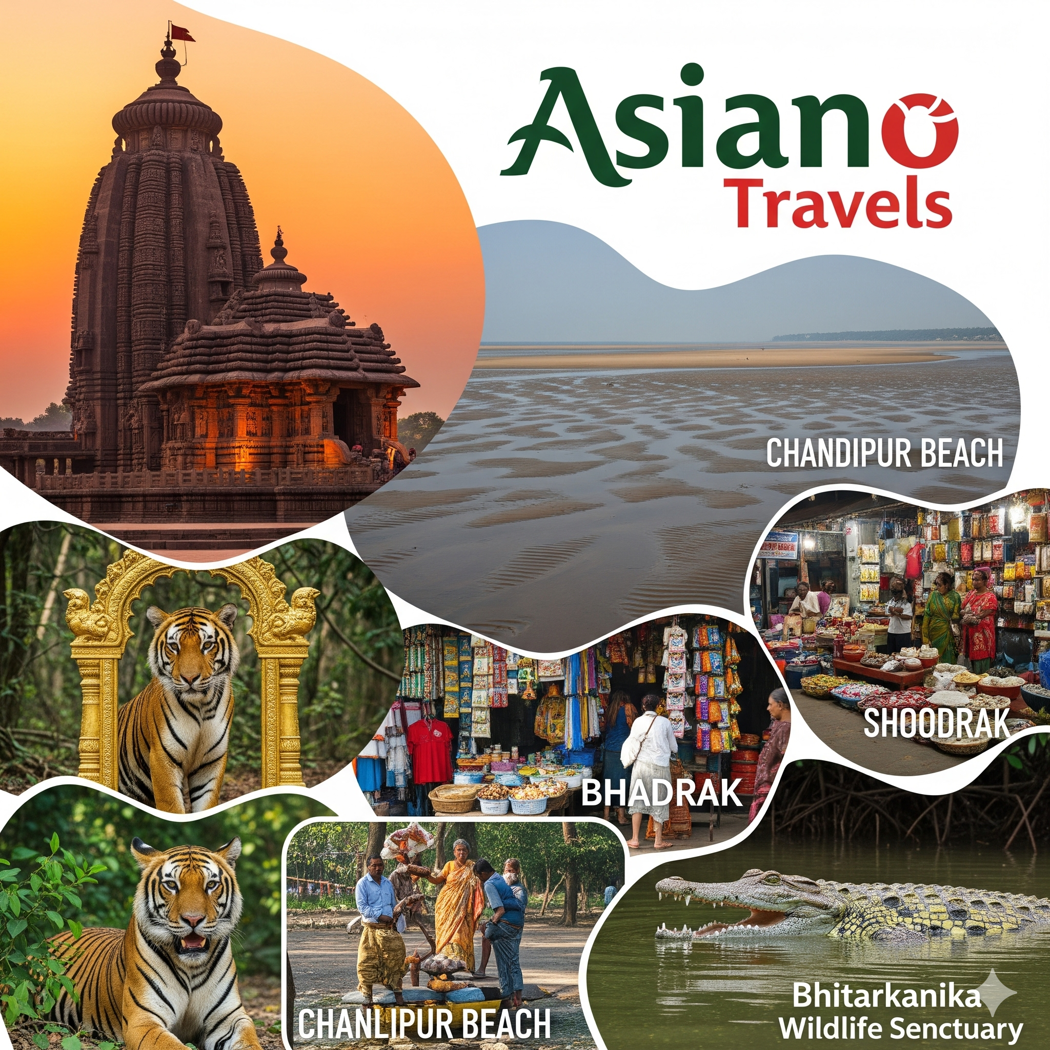 Chandipur & Similipal